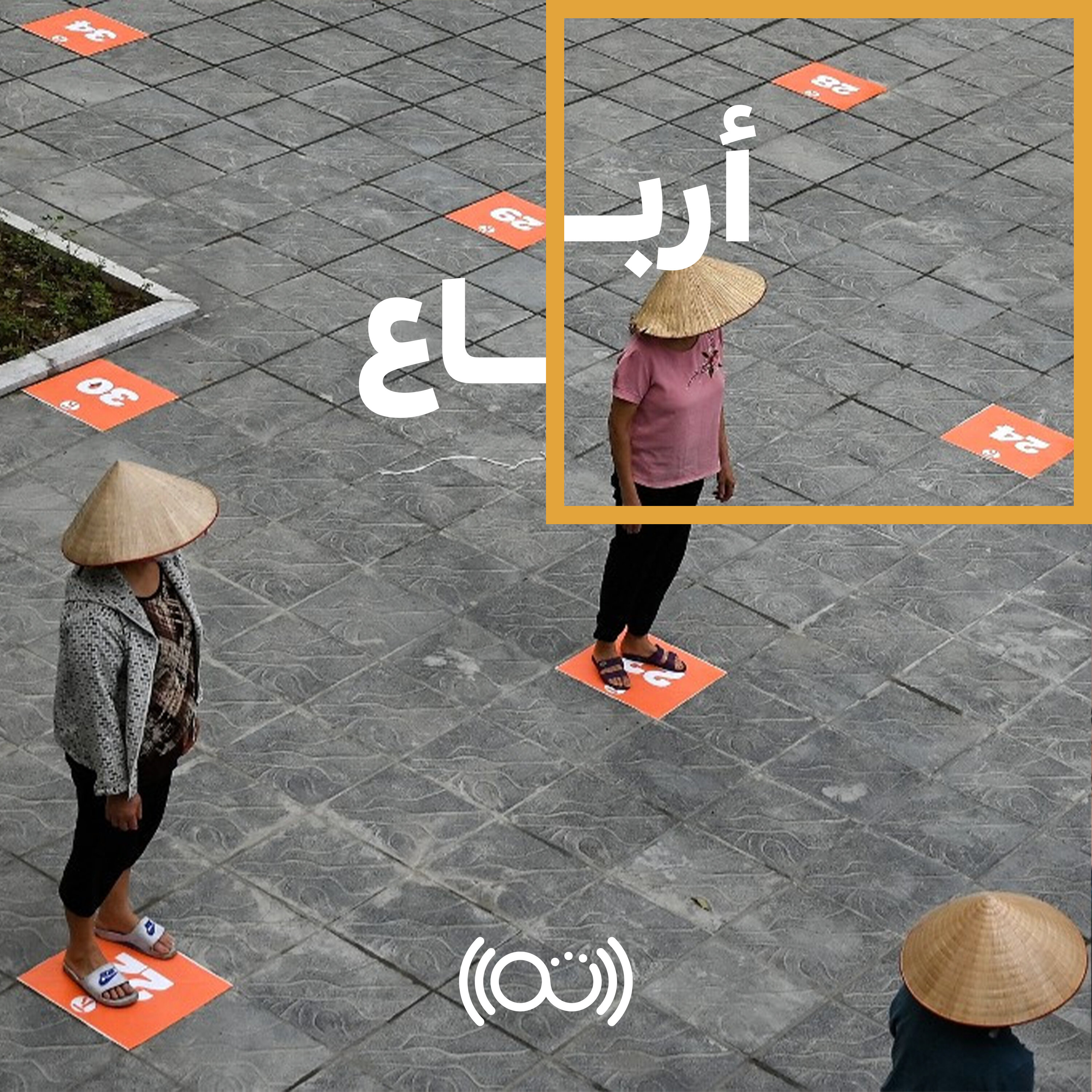 بُكرة  مع سلمى وعمرو