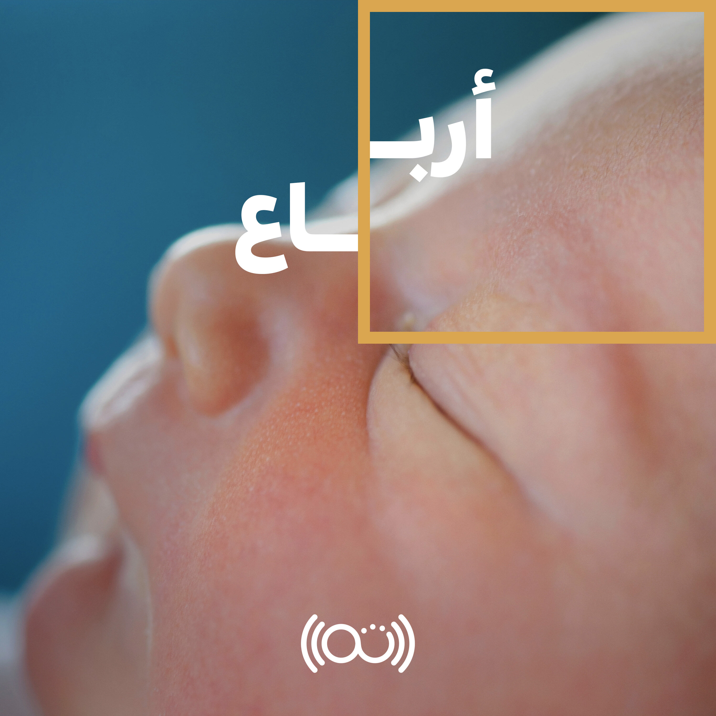 بُكرة  مع سلمى وعمرو