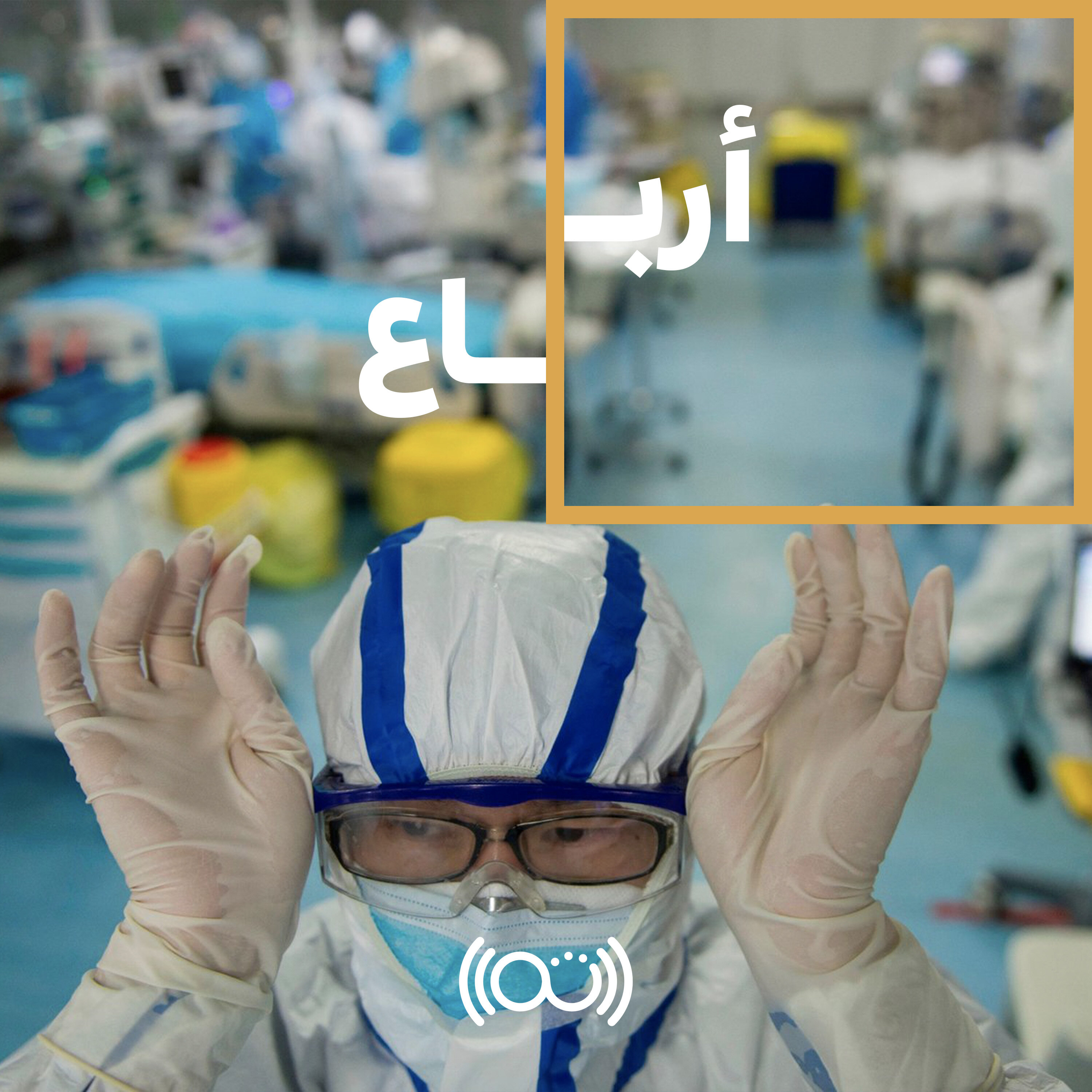 بُكرة  مع سلمى وعمرو