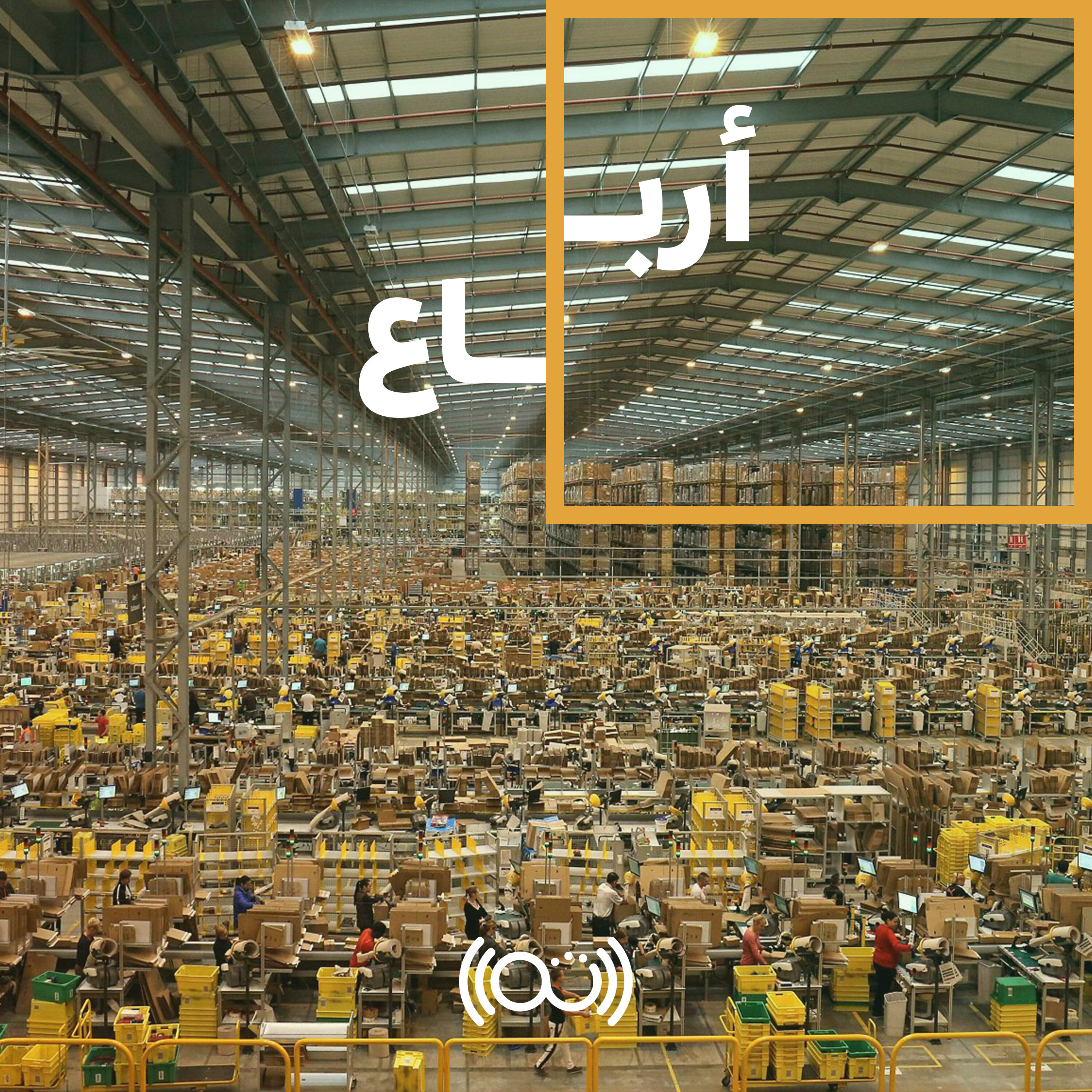 بُكرة  مع سلمى وعمرو