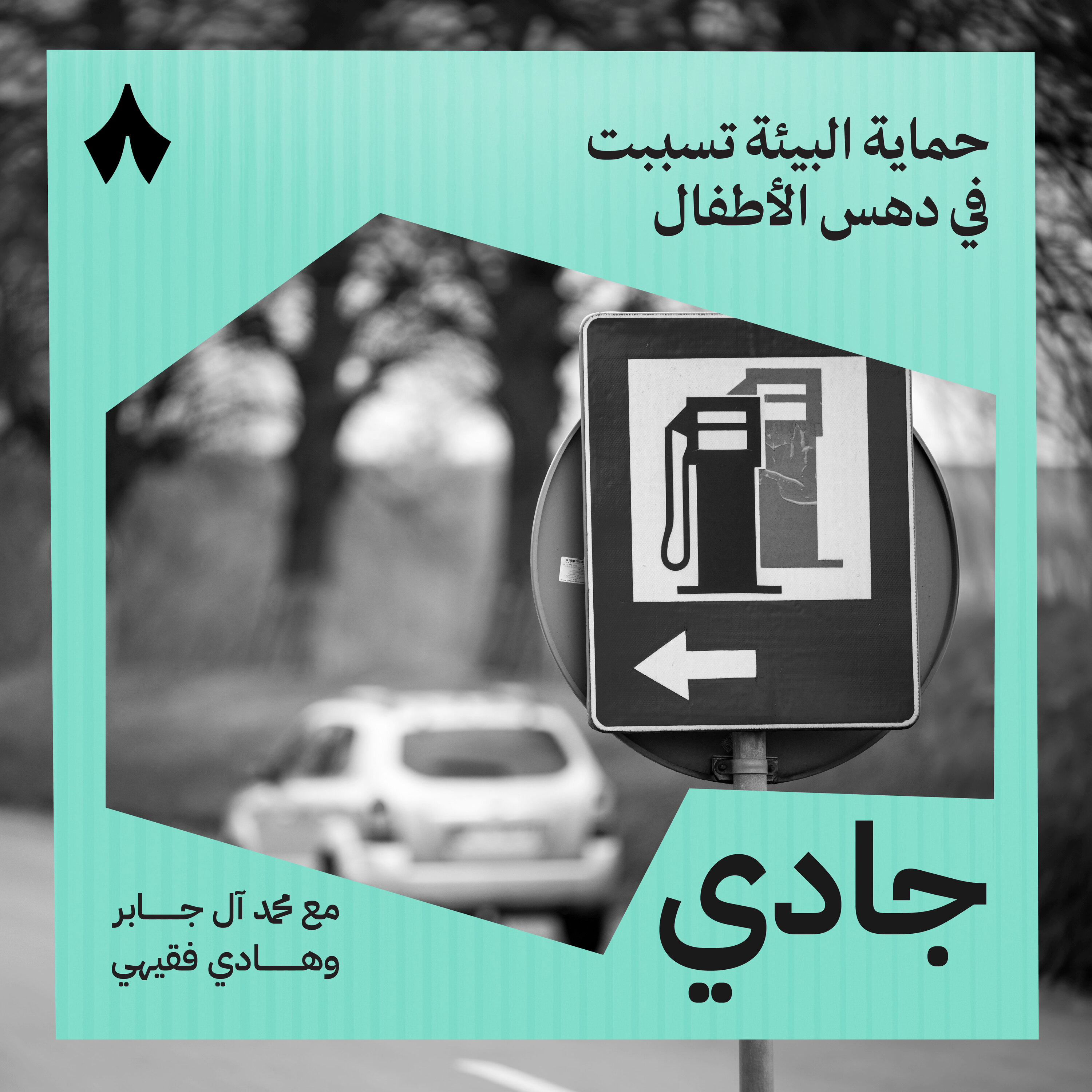 حماية البيئة تسببت في دهس الأطفال episode artwork