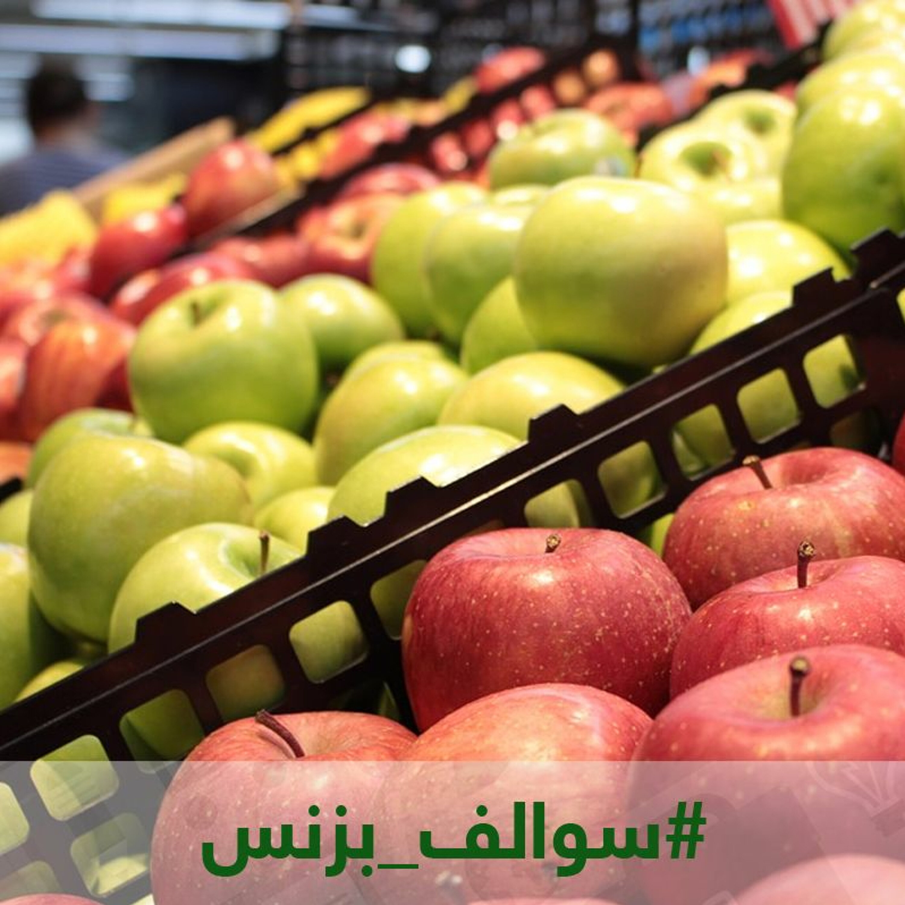 سالفة تطبيق المقاضي episode artwork